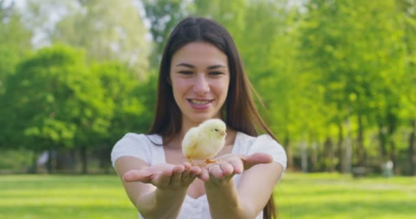 晴れた日に小さな黄色をもつ美しい少女の笑みを浮かべて鶏の緑の草や木の背景で 手で概念 エコロジー 若い女の子 美しい自然 — ストック動画
