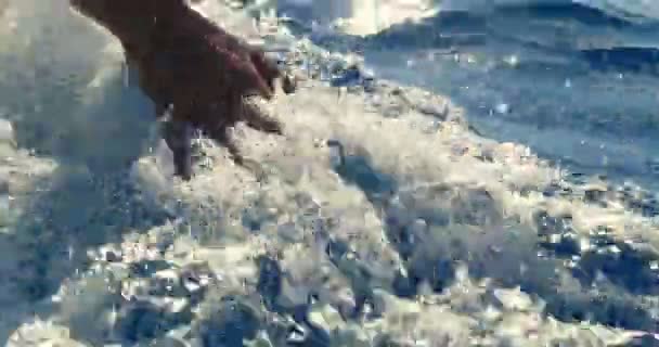 Bir Kız Bir Teknede Dokunur Teknenin Dalgalar Yanında Denizde Gün — Stok video