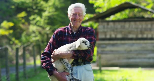 Smiling Farmer Holding Lamb Young Cub Has Experience Follow Care — стоковое видео