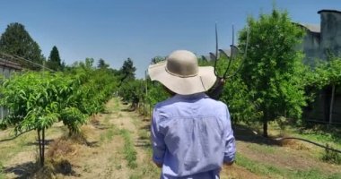 Güzel gülümseyen kız (kadın) çiftçi bir hasır şapka ve bir gömlek, üzüm alanlar üzerinde yeşil arka plan izliyor. Kavram ekoloji, şarap, bio ürün, muayene, su, doğal ürünler, tarım