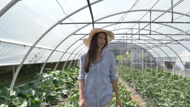 Una Hermosa Chica Con Sombrero Paja Mira Plantación Día Soleado — Vídeos de Stock