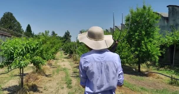 葡萄畑 麦わら帽子 シャツ 上緑背景を見て美しいの笑顔の女の子 の農家 概念の生態学 ワイン バイオ製品 天然物 — ストック動画