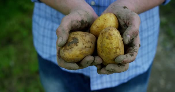 Retrato Joven Agricultor Feliz Sosteniendo Verduras Frescas Una Canasta Sobre — Vídeo de stock