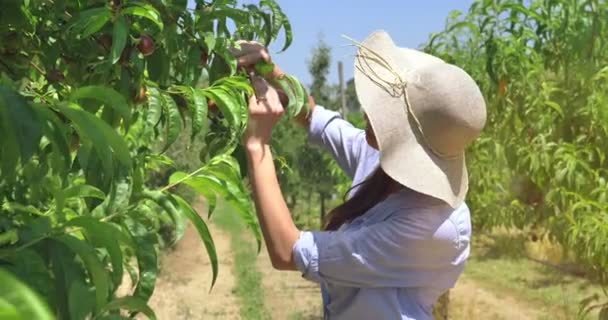 Uma Menina Bonita Chapéu Palha Usando Luvas Borracha Rosa Trabalhando — Vídeo de Stock