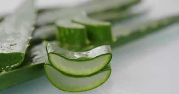 Aloe Vera Nın Bileşimi Güzellik Kremi Kavramı Aloe Doğal Tıp — Stok video