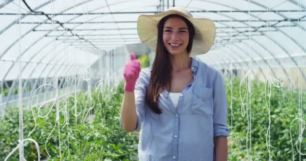 在一顶草帽 身穿粉红色的橡胶手套 美丽的女孩与平板电脑上 在温室中工作 生物产品 天然产物 水植物生长 — 图库视频影像
