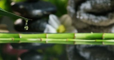güzel su ve mumlar spa ve sağlıklı yaşam kompozisyon relax ve meditation.water aşırı yavaş motion.concept içinde ateş