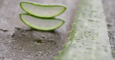 Aloe vera 'nın bileşimi. Güzellik kremi kavramı aloe, doğal tıp ve vücut bakımından türemiştir. Terapi özellikleri, kaldırma, gençleştirme ve doğa