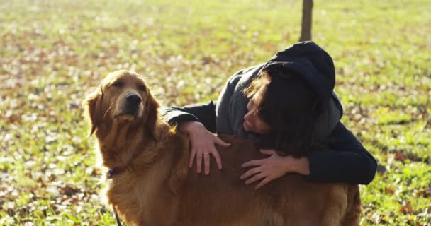 Güzel Bir Golden Retriever Köpeğinin Portresi Soyağacı Güzel Bir Paltoyla — Stok video