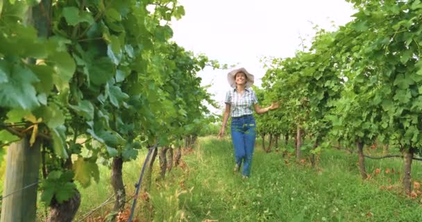 Vidéo Femme Agricultrice Heureuse Chapeau Marchant Dans Plantation Champs Raisin — Video