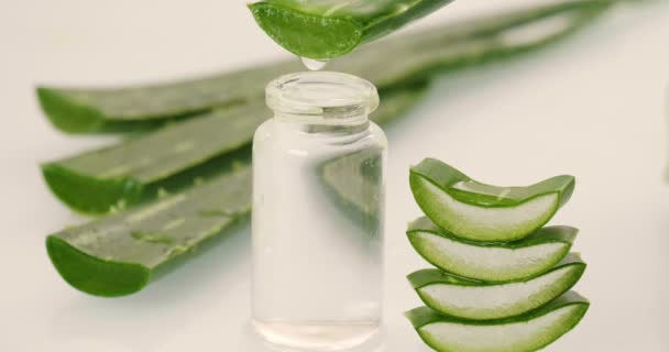 Compoziția Aloe Vera Conceptul Cremă Înfrumusețare Derivată Din Aloe Medicină — Videoclip de stoc