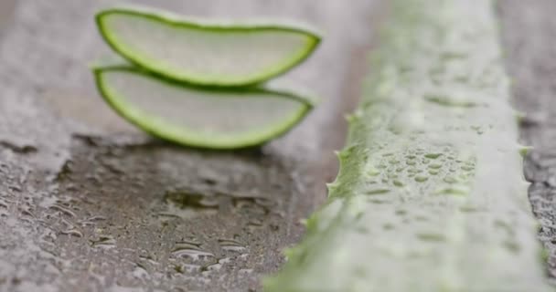 Composición Aloe Vera Concepto Crema Belleza Derivado Del Aloe Medicina — Vídeos de Stock