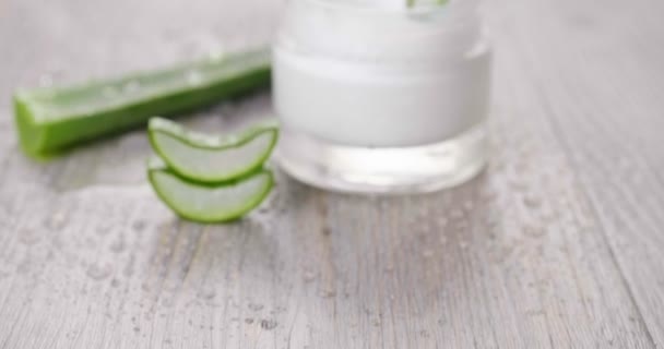 Composição Aloe Vera Conceito Creme Beleza Derivado Aloés Medicina Natural — Vídeo de Stock