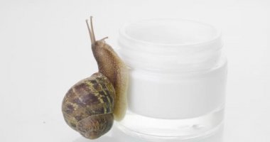 Cilt kremi bir kavanoz doğru çizgiler bir salyangoz, kapatın. Kavramı: nemlendirici krem, mükemmel cilt, salyangoz snack.