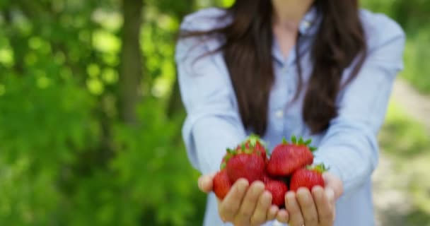 Mooi Jong Meisje Aardbeien Achtergrond Van Natuur Houden Concept Biologie — Stockvideo