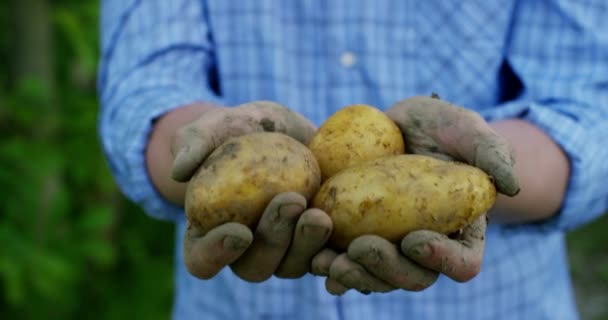 Potret Seorang Petani Muda Yang Bahagia Memegang Sayuran Segar Dalam — Stok Video