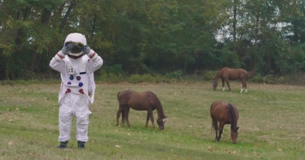 Astronaut Just Landed Space New Planet Caresses Two Beautiful Horses — Stock Video