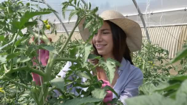Krásná dívka ve slamáku, jde a vypadá na plantáži, za slunečného dne. Koncepce: bio produkty, přírodní produkty, čerstvé, lahodné, ovoce, zeleniny, růst, voda, rostliny, fotosyntéza