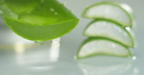 Zusammensetzung Der Aloe Vera Konzept Der Schönheitscreme Aus Aloe Natürliche — Stockvideo