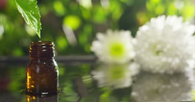 su damlaları, kokular ve kokular sağlıklı yaşam ve spa için aromaterapi temel yağlar karışımı. Güzellik kavramı. güzel kokulu esans. bir yaprak özü damla düşme havuzu Sağlık Merkezi