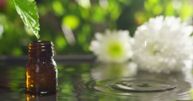 su damlaları, kokular ve kokular sağlıklı yaşam ve spa için aromaterapi temel yağlar karışımı. Güzellik kavramı. güzel kokulu esans. bir yaprak özü damla düşme havuzu Sağlık Merkezi