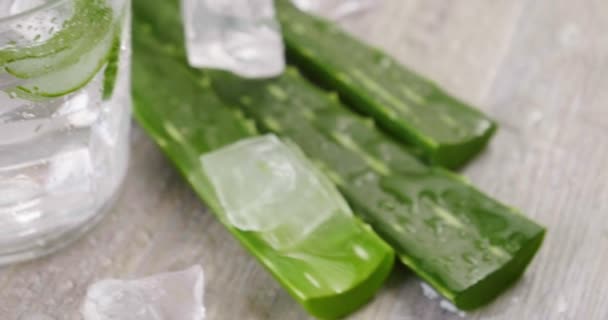 Composición Aloe Vera Concepto Bebidas Derivadas Del Aloe Medicina Natural — Vídeos de Stock