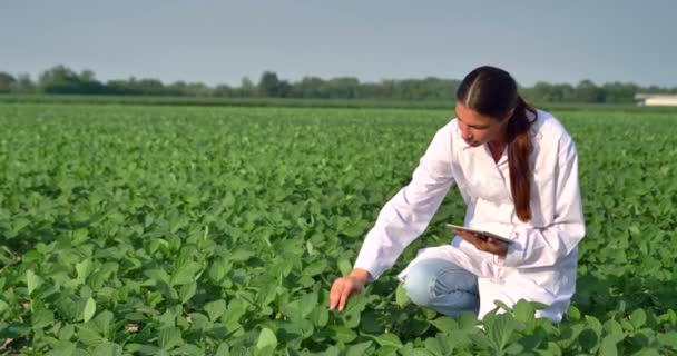 Beyaz Ceketli Çiftçi Kadının Pantolon Kontrolü Dijital Tablet Tutan Yavaş — Stok video