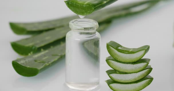 Composizione Aloe Vera Concetto Crema Bellezza Derivata Aloe Medicina Naturale — Video Stock