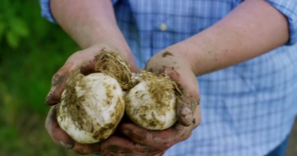 Slow Motion Video Jordbrukare Kvinna Smutsiga Händer Visar Lök Skörd — Stockvideo