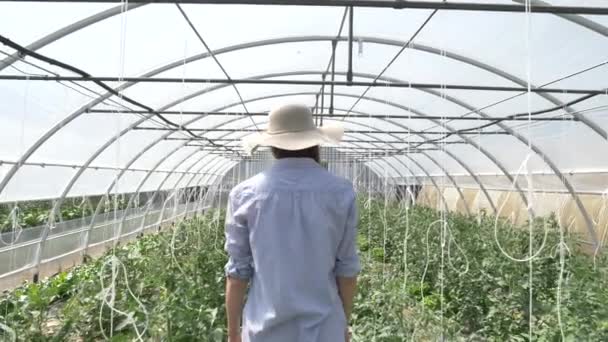 Uma Menina Bonita Com Chapéu Palha Vai Olha Para Plantação — Vídeo de Stock