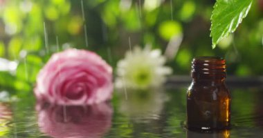 su damlaları, kokular ve kokular sağlıklı yaşam ve spa için aromaterapi temel yağlar karışımı. Güzellik kavramı. güzel kokulu esans. bir yaprak özü damla düşme havuzu Sağlık Merkezi