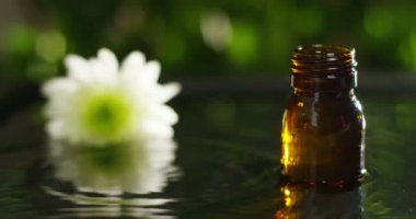 su damlaları, kokular ve kokular sağlıklı yaşam ve spa için aromaterapi temel yağlar karışımı. Güzellik kavramı. güzel kokulu esans. bir yaprak özü damla düşme havuzu Sağlık Merkezi