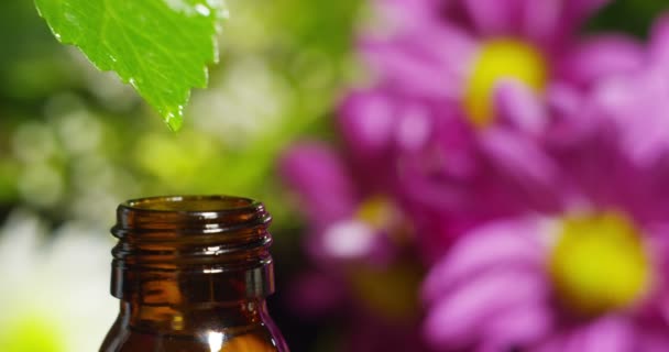 Mezcla Aceites Esenciales Con Gotas Agua Aromas Aromas Aromaterapia Para — Vídeo de stock