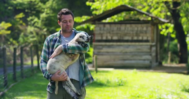 Giovane Contadino Bello Sorridente Con Braccio Cucciolo Agnello Esperienza Seguire — Video Stock