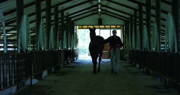 Bom Velho Agricultor Orgulhosamente Sai Curral Com Cavalo Lindamente Cuidado — Vídeo de Stock