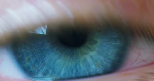 Makró Kék Szemet Kitágult Pupilla Tiszta Világos Nézd Valóság Megközelítés — Stock videók