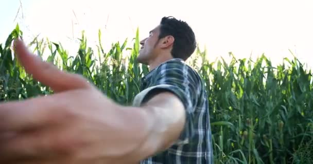 Mısır Plantasyon Etrafında Dönen Yakışıklı Seksi Çiftçi Adam Yavaş Hareket — Stok video