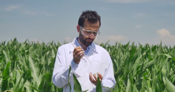 植物の専門家は タブレット 緑の背景テスト分析フィールド大豆 白いコートをチェックします 概念の生態学 バイオ製品 自然の製品 — ストック動画