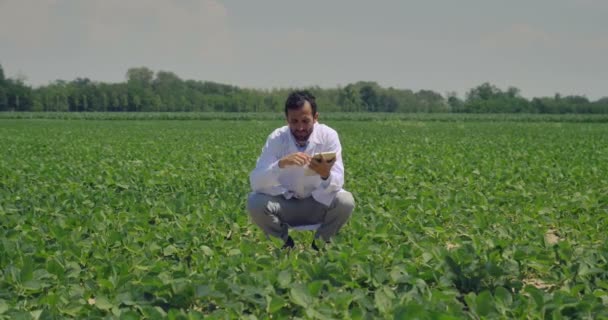 Spécialiste Des Plantes Vérifiant Soja Plein Champ Dans Manteau Blanc — Video