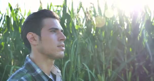 Portrait Beau Jeune Agriculteur Étudiant Travaillant Dans Champ Avec Tracteur — Video
