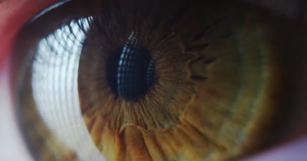 Macro Eye Resolução Implementação Gráfica Futurista Ser Humano Visão Futurista — Vídeo de Stock