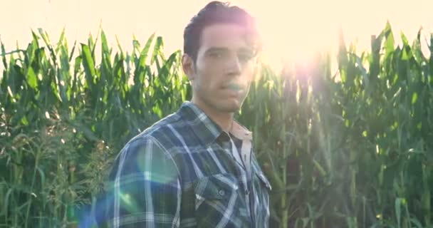 一个美丽的年轻农民 的肖像 在地里工作 用拖拉机 成功的微笑 在衬衫 玉米地 概念生态 清洁空气 生物产品 — 图库视频影像