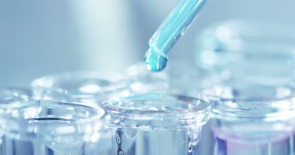 Laboratorium Naukowiec Pipetą Analizuje Barwną Ciecz Celu Ekstrakcji Dna Cząsteczek — Wideo stockowe