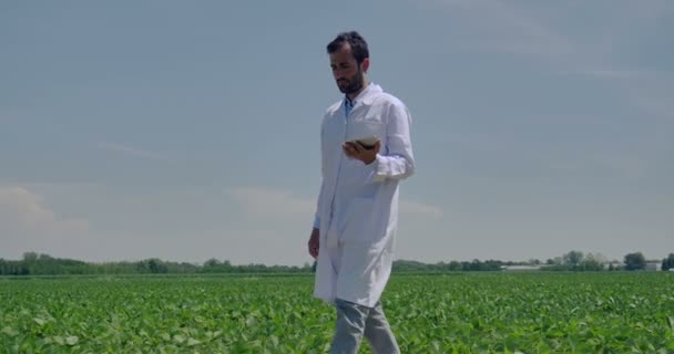Ein Pflanzenspezialist Der Das Feld Soja Untersucht Macht Weißen Kittel — Stockvideo