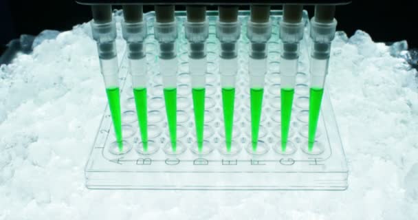 未来の実験室でピペットと科学者の分析 Dna と試験管コンセプト研究生化学没入型技術拡張現実の分子を抽出する着色液 — ストック動画