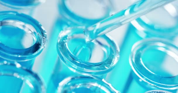 Dans un laboratoire, un scientifique muni d'une pipette analyse un liquide coloré pour extraire l'ADN et les molécules dans les éprouvettes. Concept : recherche, biochimie, nature, médecine pharmaceutique