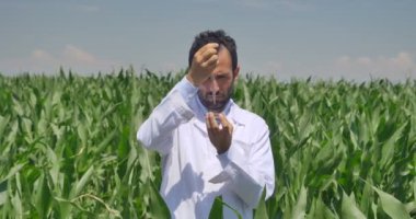 Bitki uzmanı alan soya, Beyaz önlük kontrol test analizi bir tablet, yeşil bir arka plan yapar. Kavram ekoloji, bio ürün, muayene, su, doğal ürünler, profesyonel