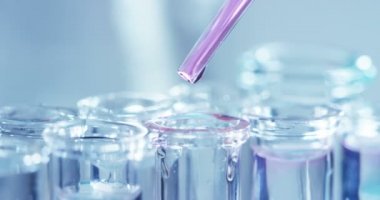 Bir laboratuarda, pipetli bir bilim adamı test tüplerindeki DNA ve molekülleri ayırmak için renkli bir sıvıyı analiz eder. Konsept: araştırma, biyokimya, doğa, ilaç