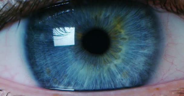 Macro Eye Resolução Implementação Gráfica Futurista Ser Humano Visão Futurista — Vídeo de Stock