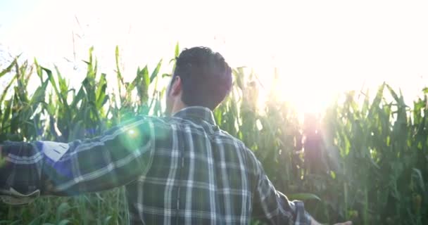 一个美丽的年轻农民 的肖像 在地里工作 用拖拉机 成功的微笑 在衬衫 玉米地 概念生态 清洁空气 生物产品 — 图库视频影像